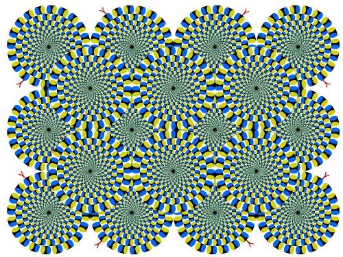 【震撼眼球】世界上最最神奇最最詭異的41張圖片 【震撼眼球】世界上最最神奇最最詭異的41張圖片