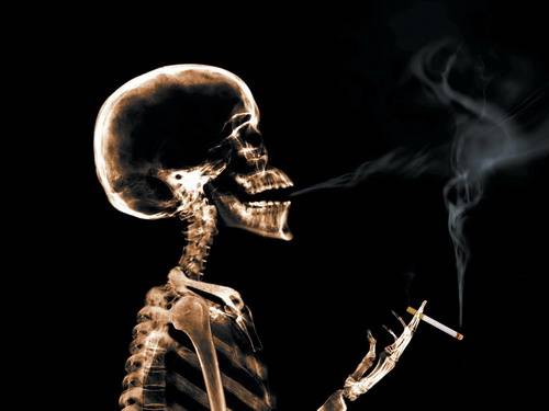 史上最全170個(gè)生理常識(shí)!讓你震驚! 史上最全170個(gè)生理常識(shí)!讓你震驚!